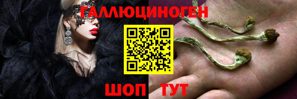 Галлюциногенные грибы мицелий Озёры